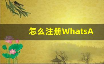 怎么注册WhatsApp账户