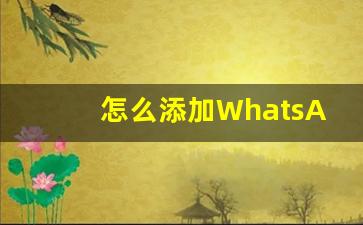 怎么添加WhatsApp账号