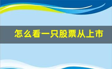 怎么看一只股票从上市到现在涨幅(怎么看一只股票从上市到现在涨幅有多少)_https://www.shshucaipeisong.com_上交所_第1张