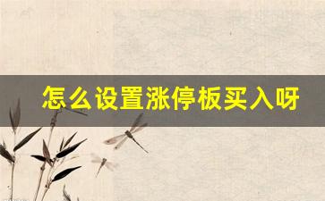 怎么设置涨停板买入呀(如何设置涨停价买入)_https://www.gfdzclz.com_北交所_第1张