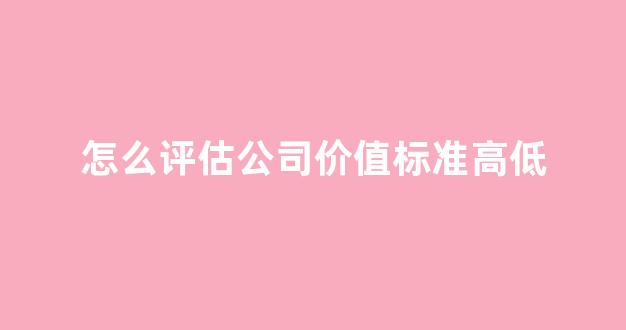 怎么评估公司价值标准高低(如何评估公司)_https://www.jnskb.com_效果图_第1张