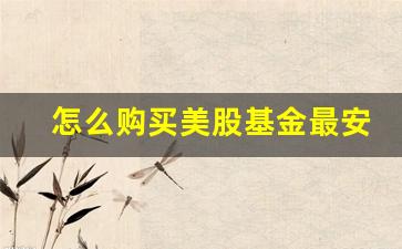 怎么购买美股基金最安全(购买美股的基金)_https://www.haiwangdasha.com_深交所_第1张