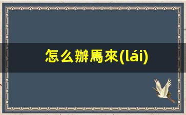 怎么辦馬來(lái)西亞簽證(馬來(lái)西亞簽證)