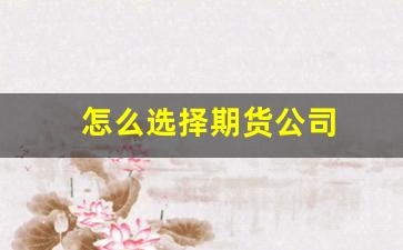 怎么选择期货公司(怎么选择期货公司上市)_https://www.jumanxin.com_深交所_第1张