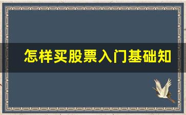 怎样买股票入门基础知识(如何入门买股票)_https://www.fzdzcxj.com_北交所_第1张
