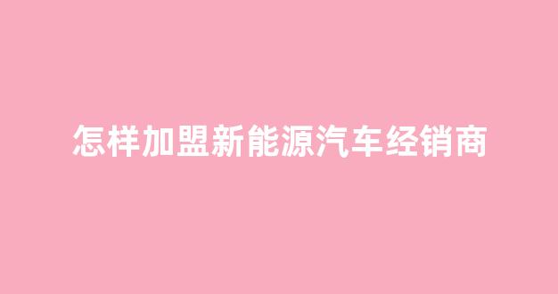 怎样加盟新能源汽车经销商(怎样加盟新能源汽车经销商赚钱)_https://www.ccit-cctv.com_上交所_第1张