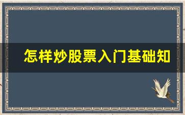 怎样炒股票入门基础知识视频(怎么炒股入门知识教程)_https://www.taocizhiliang.com_装修公司_第1张