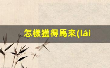 怎樣獲得馬來(lái)西亞簽證(馬來(lái)西亞簽證申請(qǐng)流程)