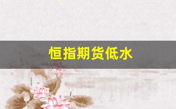 恒指期货低水(恒指期货高手视频)_https://www.wguangz.com_广期所_第1张