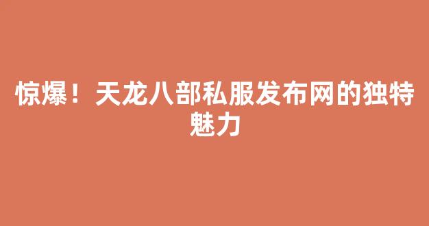 惊爆！天龙八部私服发布网的独特魅力