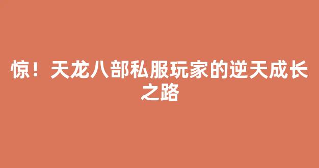 惊！天龙八部私服玩家的逆天成长之路