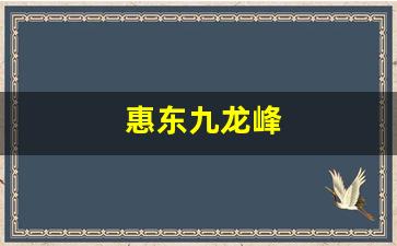 惠东九龙峰-惠东九龙峰旅游风景区