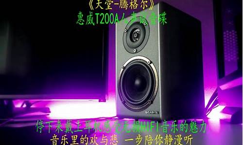 惠威t200A参数_惠威t200a