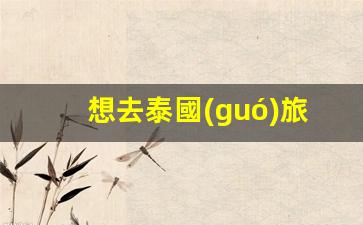 想去泰國(guó)旅游怎么辦簽證(想去泰國(guó)旅游需要辦什么手續(xù))