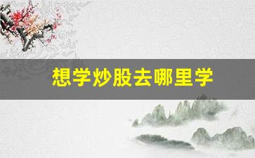 想学炒股去哪里学(想学炒股去哪里学比较好)_https://www.gzyhshgzzx.com_上期所_第1张