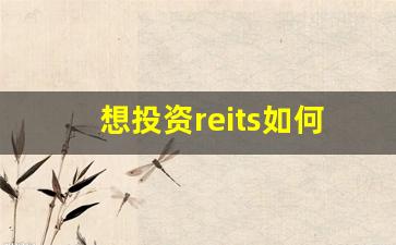 想投资reits如何开户_https://www.jnskb.com_装修公司_第1张