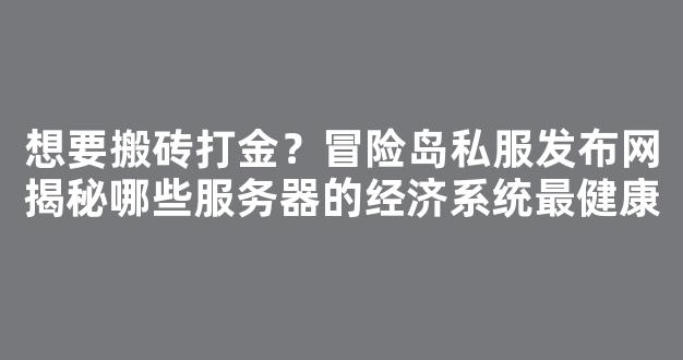 想要搬砖打金？冒险岛私服发布网揭秘哪些服务器的经济系统最健康