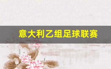 意大利乙组足球联赛-意大利足球职业联赛