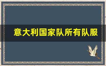 意大利国家队所有队服-意大利国家队所有队服名称