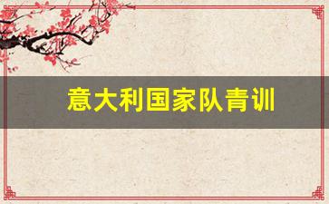 意大利国家队青训-意大利国家队训练