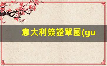 意大利簽證申請(qǐng)攻略，全面解析意大利單國(guó)簽證辦理流程