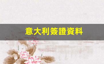 意大利簽證資料(意大利簽證資料需要銀行流水余額證明嗎)