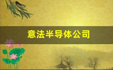意法半导体公司(意法半导体公司市值)_https://www.hangfeite.com_创业板_第1张
