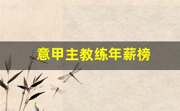 意甲主教练年薪榜-意甲各队教练年薪