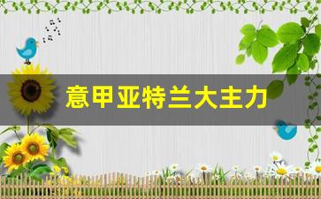 意甲亚特兰大主力-意甲 亚特兰大