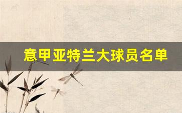 意甲亚特兰大球员名单-亚特兰大意甲冠军