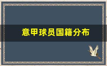意甲球员名单-意甲球员国籍分布