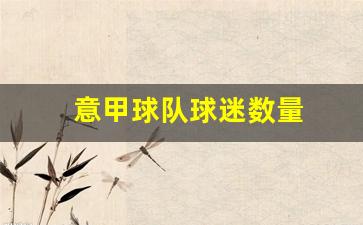意甲球队球迷数量-意甲全部球队