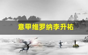 意甲维罗纳李升祐-意甲维罗纳对国米