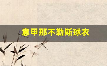 意甲那不勒斯球衣-那不勒斯意甲成绩