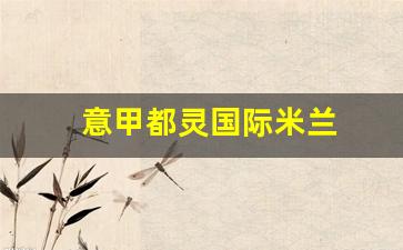 意甲都灵国际米兰-国际米兰与都灵的比赛预测