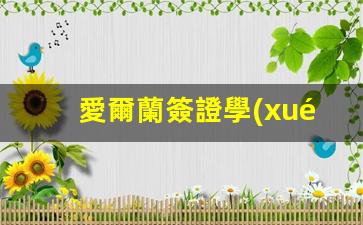 愛爾蘭學(xué)生簽證申請(qǐng)指南，詳解流程及歐洲多國通行權(quán)限