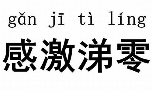 感激涕零造句造句一年级怎么写_感激涕零造句造句一年级怎么写的