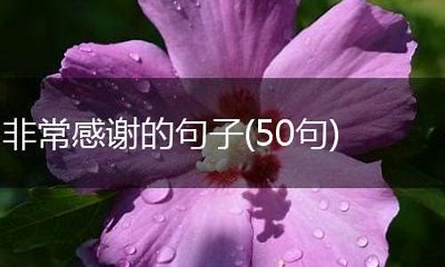 感谢的句子经典语录_表达感谢的句子经典语录