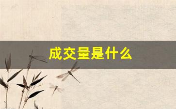 成交量是什么(成交量是什么颜色的线)_https://www.luoxuangg888.com_上交所_第1张
