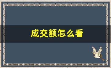 成交额怎么看