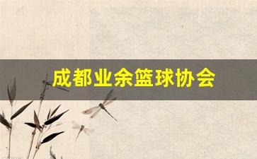 成都市篮球协会青少年队-成都业余篮球协会