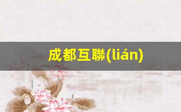 成都互聯(lián)網運營插圖