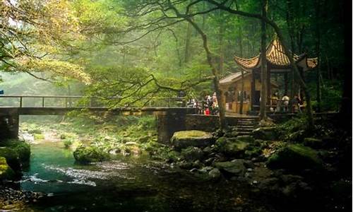 成都当地一日游旅游团_成都当地一日游旅游团推荐