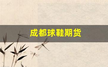 成都球鞋期货(成都球鞋期货交易中心)_https://www.xzdzcjn.com_北交所_第1张