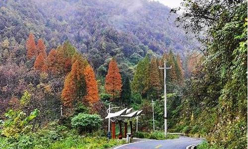 成都秋天适合去哪里玩_成都秋天适合去哪里玩呢