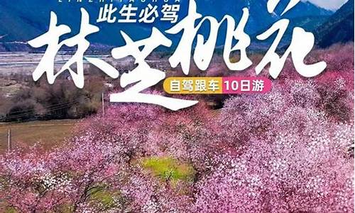 成都自驾林芝旅游攻略_成都自驾林芝旅游攻略图