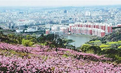 成都龙泉驿旅游攻略一日游_成都龙泉驿旅游攻略一日游路线