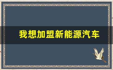 我想加盟新能源汽车(我想加盟新能源汽车店)_https://www.hangfeite.com_创业板_第1张