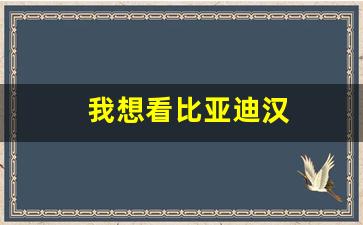 我想看比亚迪汉(小娴试驾比亚迪汉)_https://www.huakunhengjia.com_期货资讯_第1张