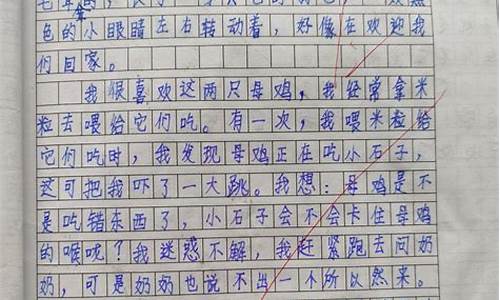 我眼中的缤纷世界作文300字三年级湖州_我眼中的缤纷世界小学三年级作文